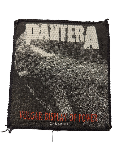 Pantera vulgar