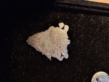 Morbosidad badge