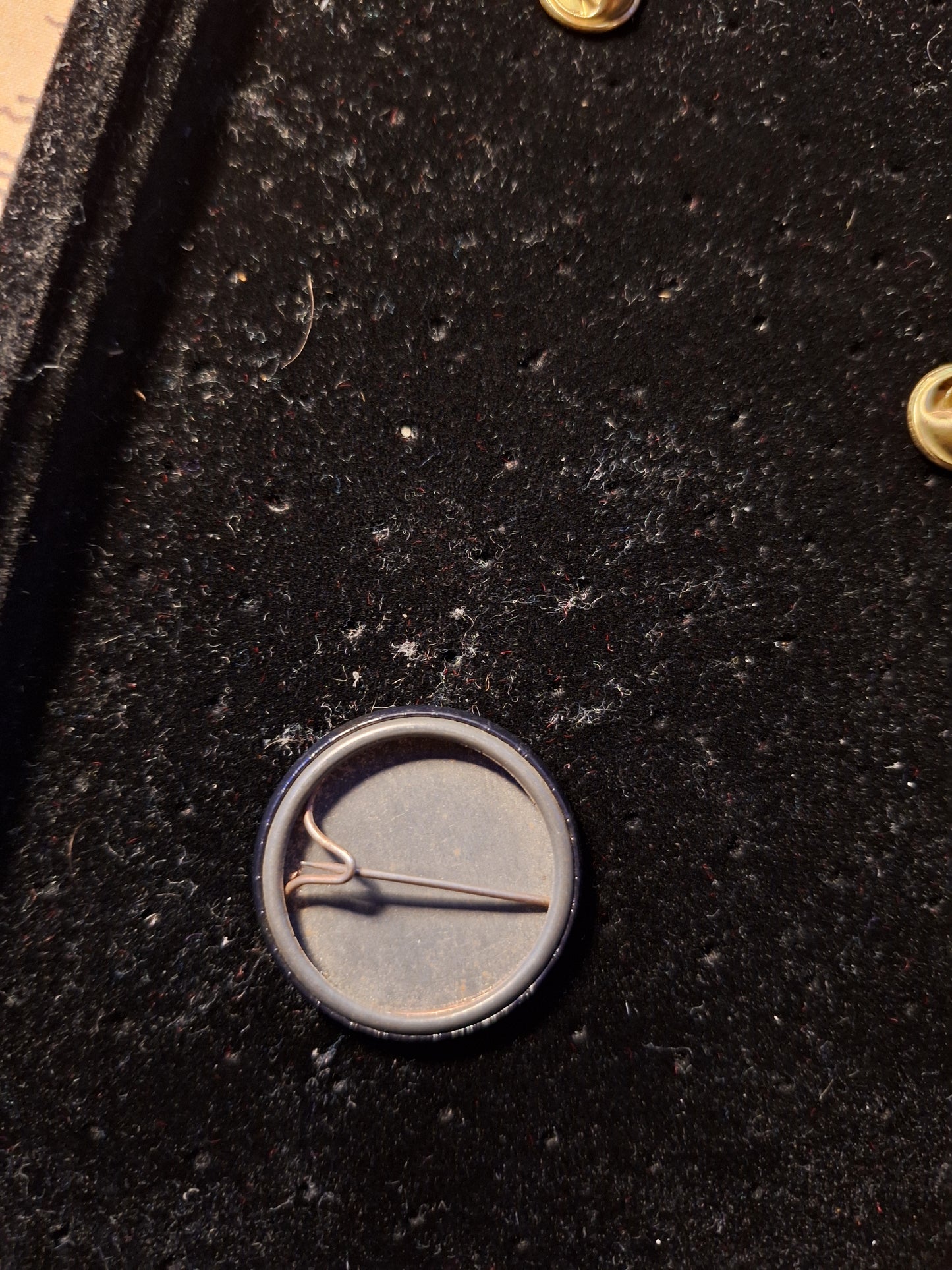 Whitesnake button